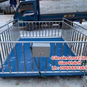 Cân trâu bò lợn